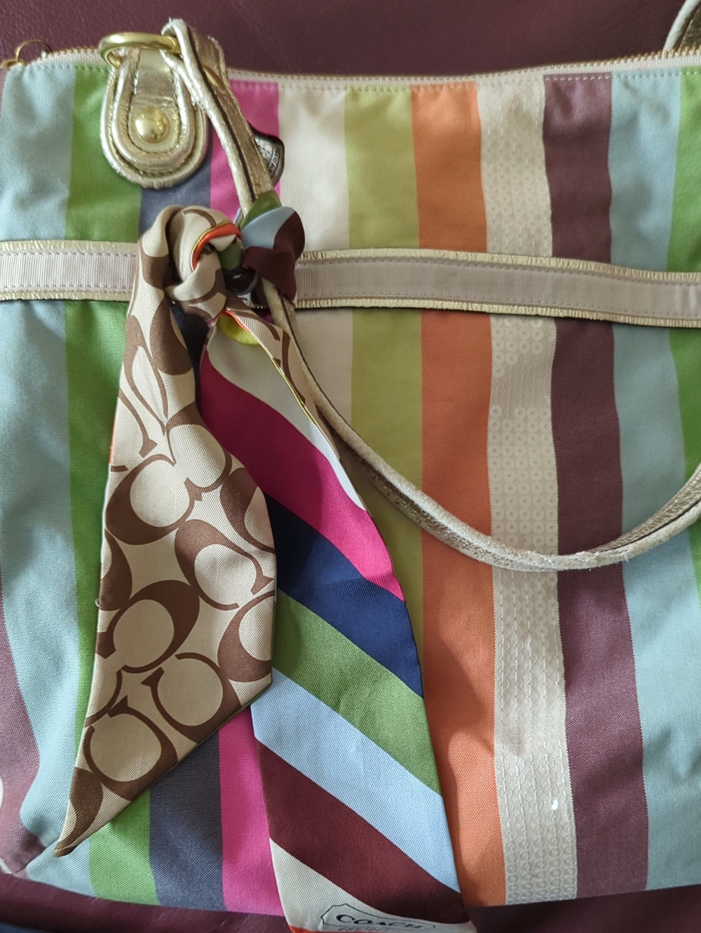 Coach Multicolor Striped Signature Silk Purse Scarf